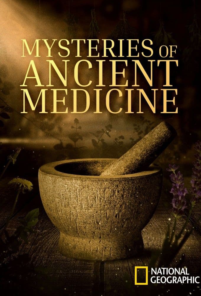 Mysteries of Ancient Medicine S01 1080p WEB h264-EDITH